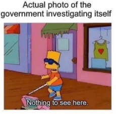 bart-simpson-blind-actual-photo-government-investigating-itself.jpeg