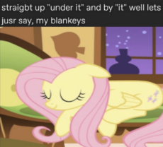 blankets.jpg