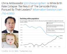 china ambassador warns of white genocide - (2020-10-20).png