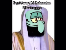 images (14).jpeg