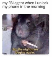 my fbi agent - when i unlock my phone.png