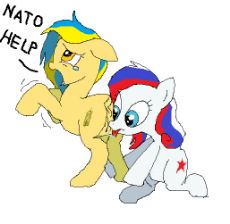 nato help.png