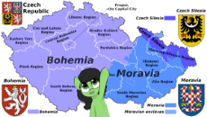 Czech_Filly.png