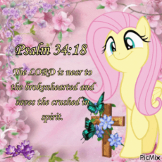 7405021__safe_editor-colon-presbyterian+applejack_imported+from+derpibooru_fluttershy_animated_bible_bible+verse_christianity_gif_religion_text.gif