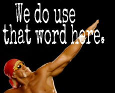 hulk_hogan_we_do_use_that_word_here_pose.png