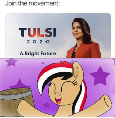 tulsi2020.png
