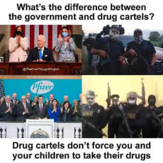 difference-between-government-and-drug-cartels.jpeg