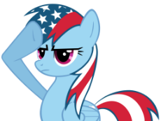 rainbow_dash_usa_by_browen….png