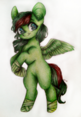 1850144__safe_artist-colon-sunshine_oc_oc-colon-windy barebow evergreen_ears_female_hoof wraps_hooves_looking at you_mare_pegasus_smiling_solo_solo oc_.png