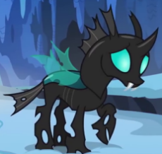 Thorax_ID_S6E16.png