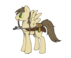 pony_with_a_gun.png