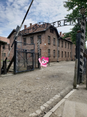 Matello_Auschwitz-Arbeit-Macht-Frei.jpg
