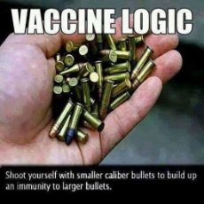 vaccine-logic-bullets.jpg