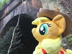 1429116__safe_applejack_solo_pony_photo_irl_plushie_ponies+in+real+life_japan_4de_ponies+around+the+world_tunnel_travelling_artist-co.jpeg