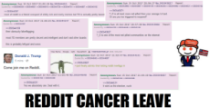reddit cancer on pol.png