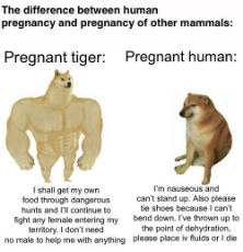 20250318_203359.jpg