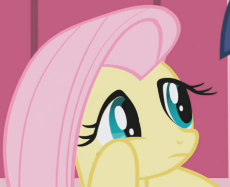 fluttershy not interested.png