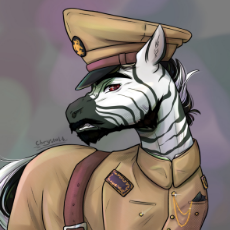 3549584__safe_artist-colon-chrystal_company_oc_oc+only_zebra_equestria+at+war+mod_beard_clothes_facial+hair_hat_moustache_solo.jpg
