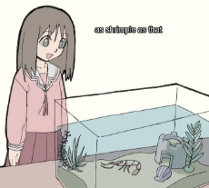 2ab.jpeg