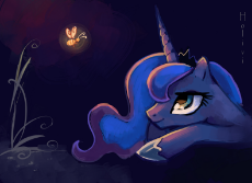 Firefly_and_the_Night_-_Holivi.jpg