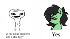 yesfilly.png
