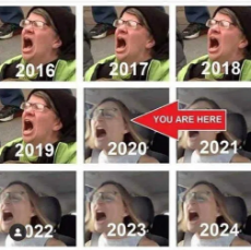 liberals-screaming-by-year-you-are-here-2020.png