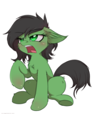 angery filly.png