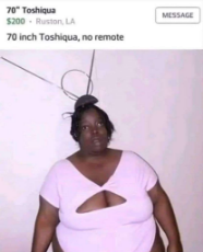 70 inch toquisha no remote - craigslist.jpg