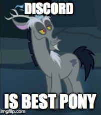 discord_best pony.jpg