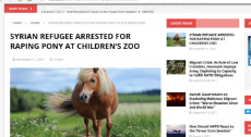 rapefugees rape pony.jpg