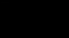 3686150.webm