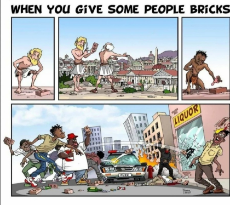niggers and bricks.jpeg