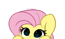 3025008.png