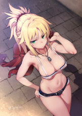 __mordred_and_mordred_fate_apocrypha_fate_grand_order_and_fate_series_drawn_by_try__2712fb94993ff89682b74b792ce1e294.jpg