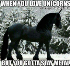 metal-unicorn.jpg