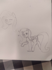 fluttershy.jpg