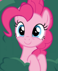 happy pink pony.png