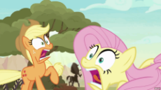 2006727.gif