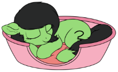 anon-filly-sleep.png