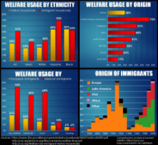 race and welfare.jpg