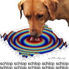 1741371861058838.jpg