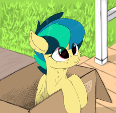 1977640__safe_artist-colon-d-dot-w-dot-h-dot-cn_oc_oc-colon-apogee_oc only_box_cute_female_filly_freckles_gift from god_ocbetes_pegasus_p.png