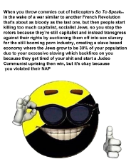 the ancap solution.png