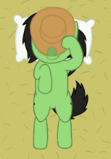 Cowboy Filly.png
