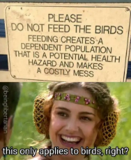 dont-feed-birds.jpg