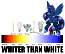 luna is whiter than white.jpg