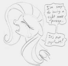 6794544__suggestive_artist-colon-dotkwa_imported+from+derpibooru_fluttershy_pegasus_pony_crying_dialogue_female_floppy+ears_gray+background_grayscale_mare_meme_.png