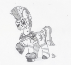 Zebra shaman.jpg