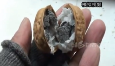 china-fake-walnuts.jpg