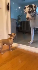 49889465.mp4